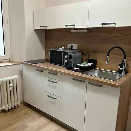 Center - Moderna Rimske Namesti Iii Apartment Brno