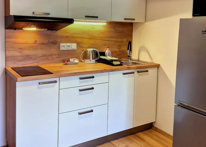 Appartamento Center - Moderna římské Náměstí Iii Brno